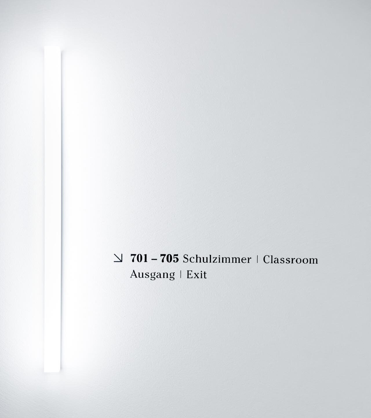 Lyceum_Alpinum_S_10_desktop_20220505_m_msr