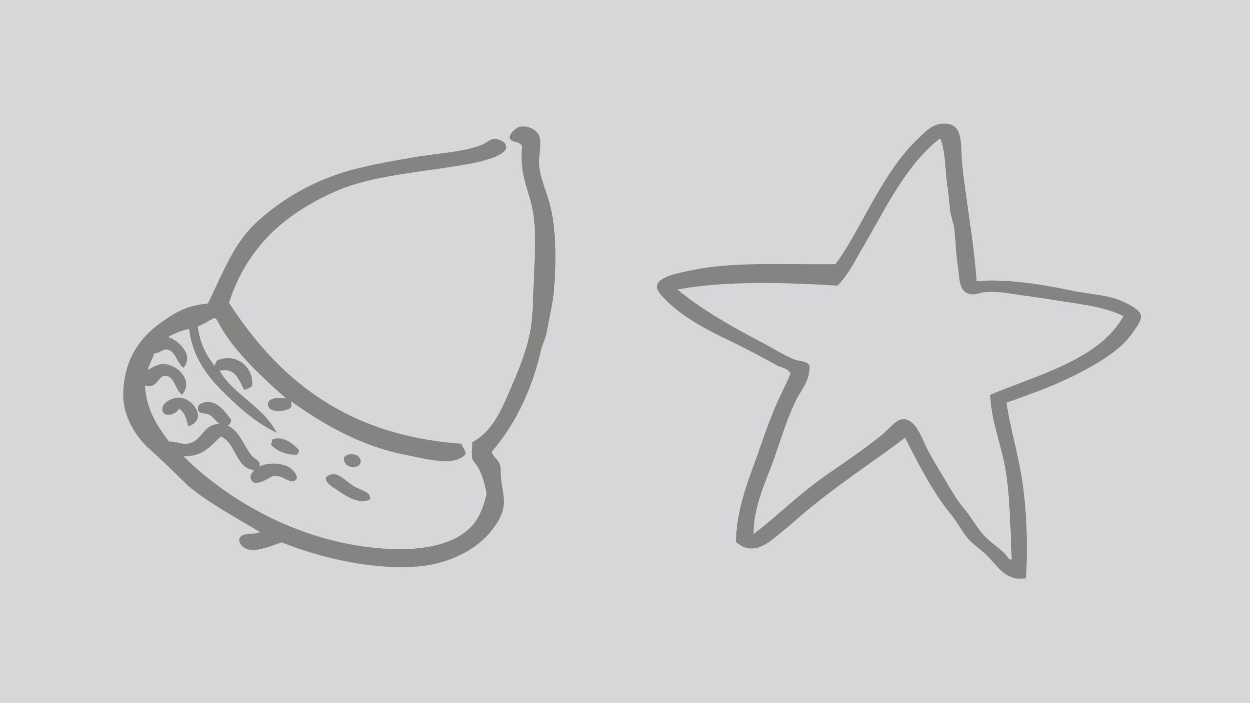 ZUWEBE_P_05_desktop_20220510_g_msr