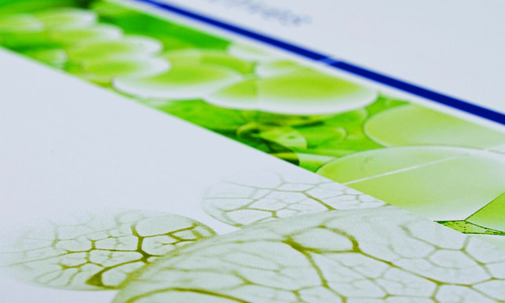 Rahn_B_01_desktop_20220512_g_msr