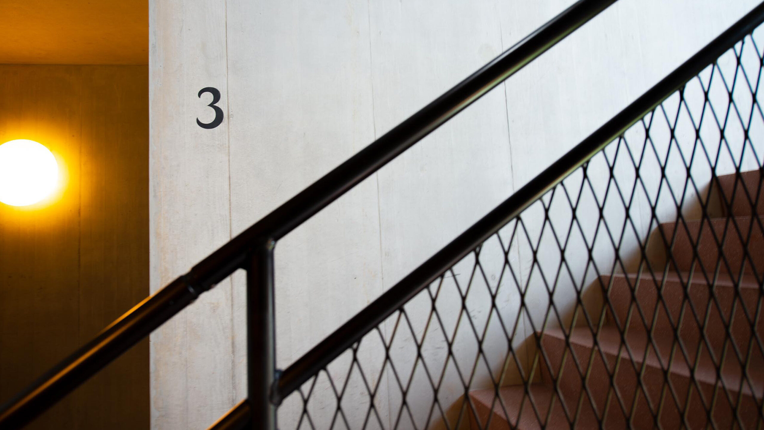 Aspholz_S_05_Desktop_20241217_m_ler