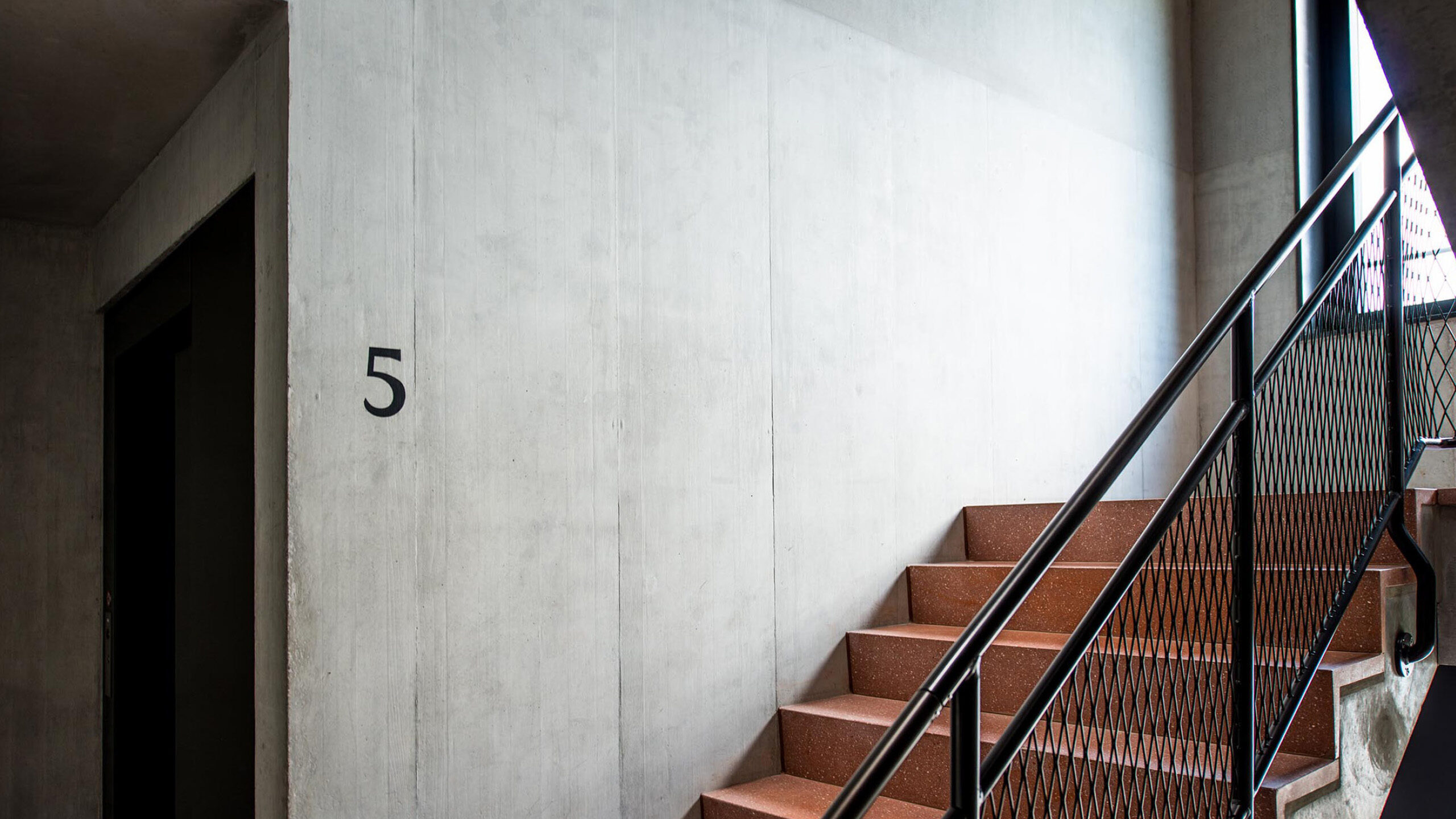 Aspholz_S_06_Desktop_20241217_m_ler