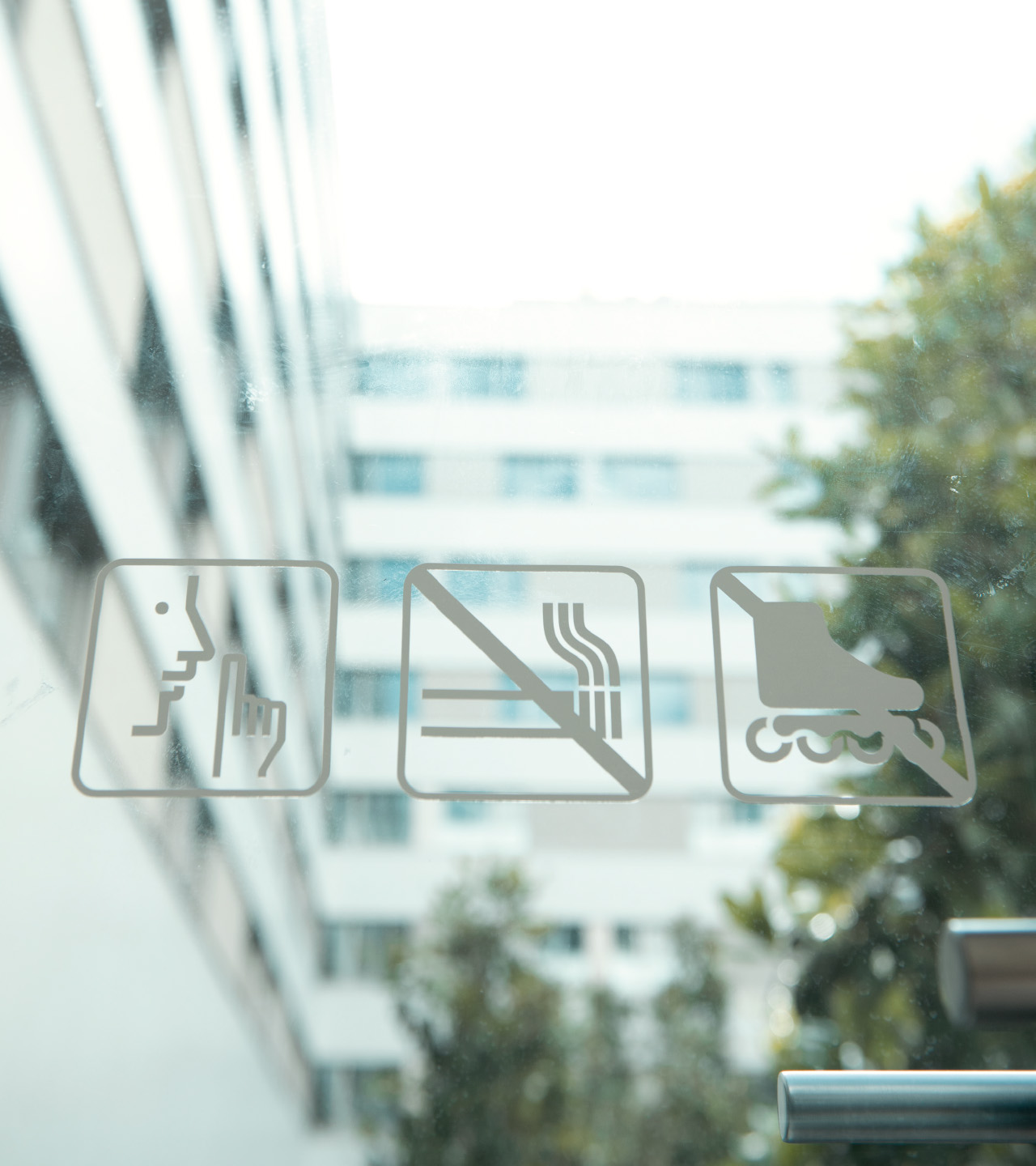 Magnolia_S_09_Desktop_20241217_m_ler