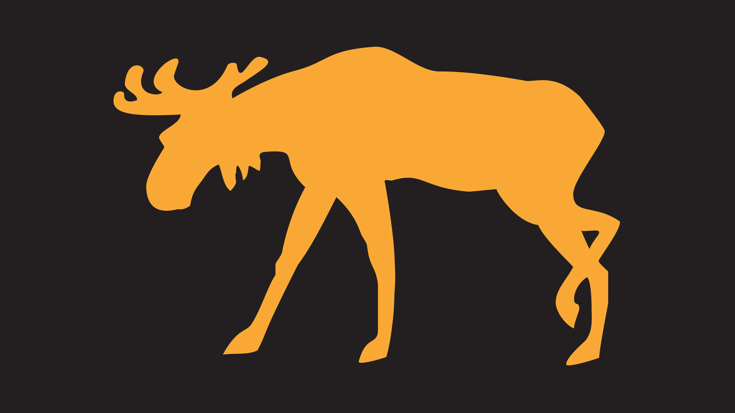 Wildnispark_Zurich_S_09_Desktop_20241217_m_ler