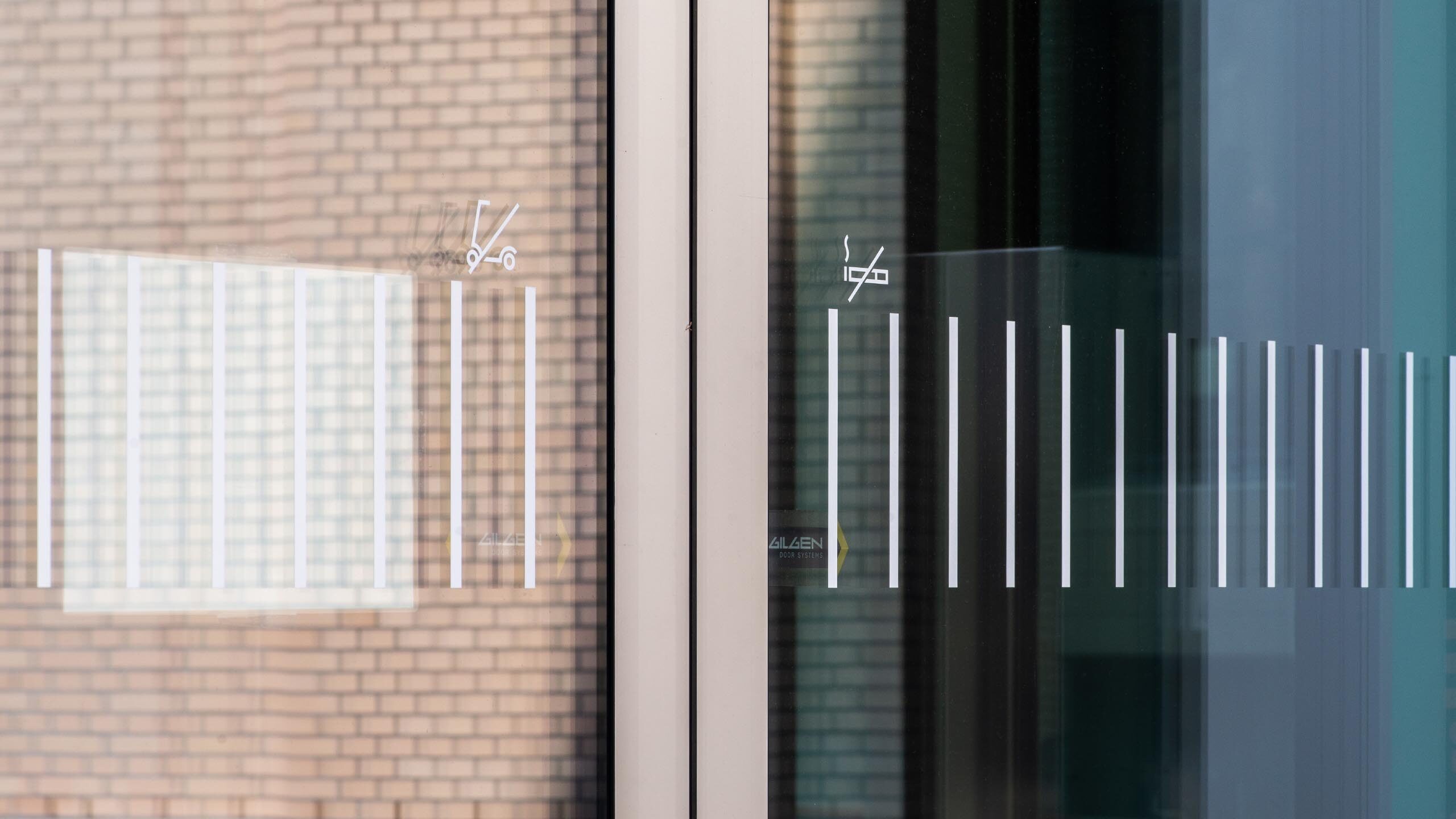 SWICA_Elefant_02_Desktop_20250108_m_ler